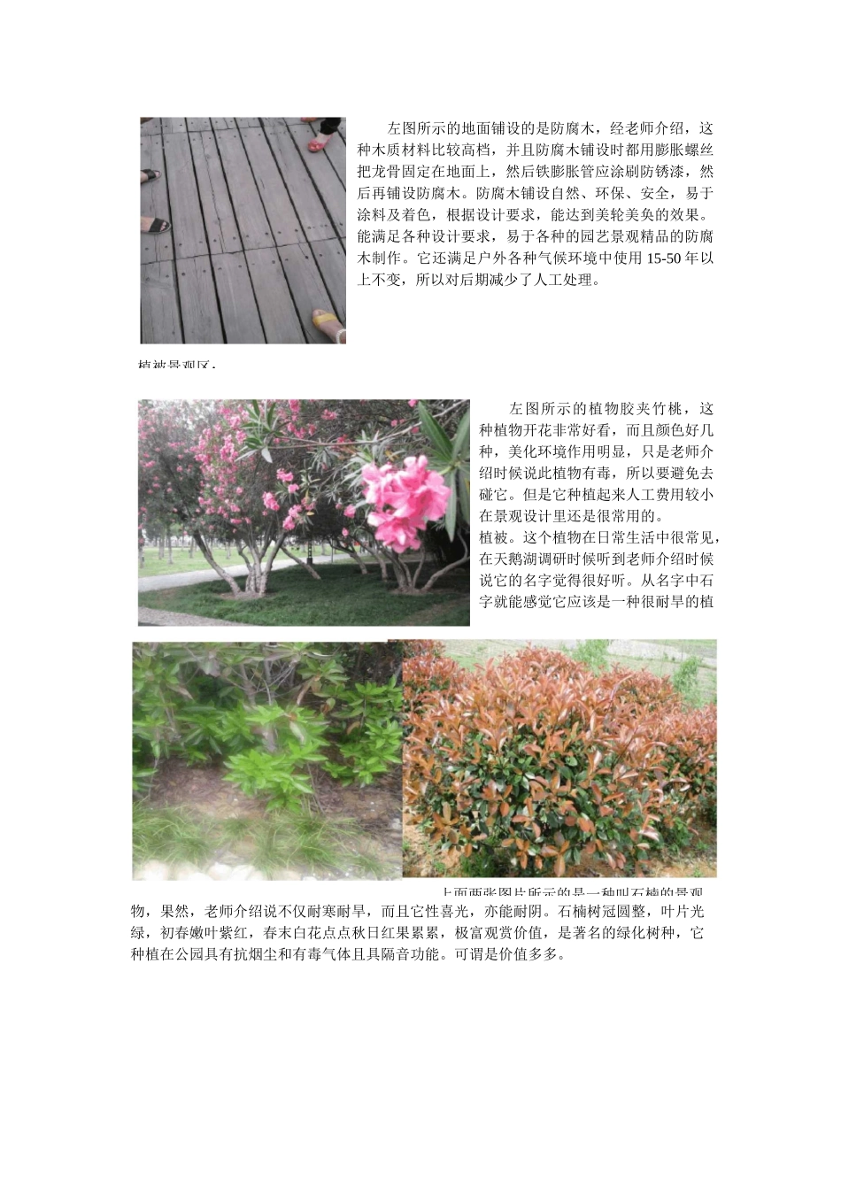 景观调研报告_第2页