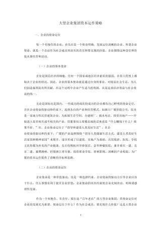 大型企业集团资本运作策略