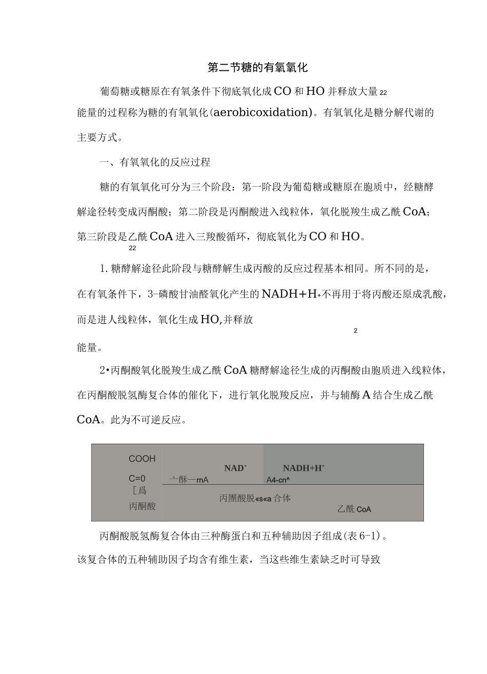 糖的有氧氧化_第2页