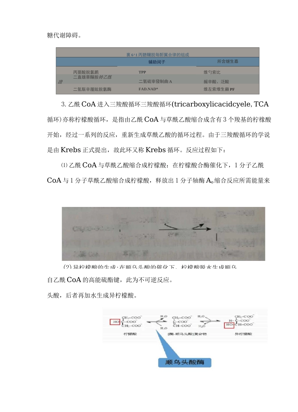 糖的有氧氧化_第3页