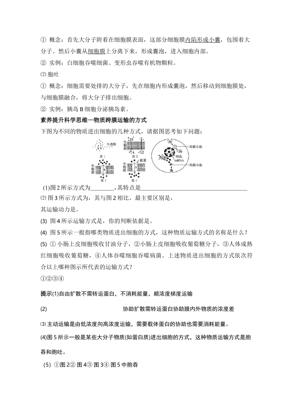 人教版  必修一主动运输与胞吞、胞吐 教案_第2页
