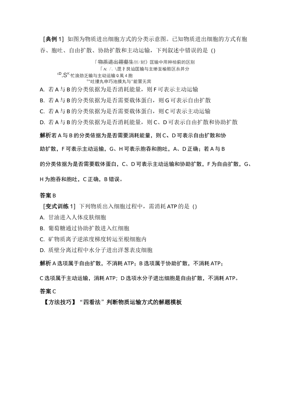 人教版  必修一主动运输与胞吞、胞吐 教案_第3页