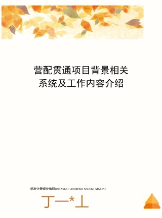 营配贯通项目背景相关系统及工作内容介绍完整版