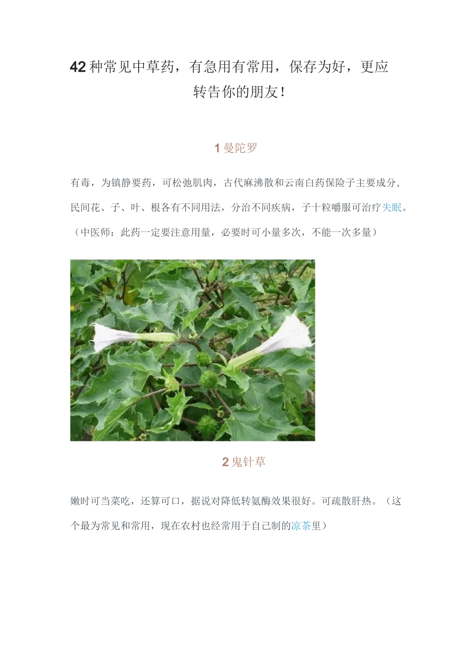 42种常见中草药汇总_第1页