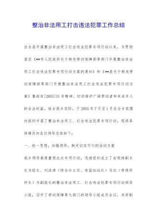 整治非法用工打击违法犯罪工作总结-