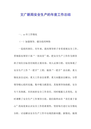 文广新局安全生产的年度工作总结