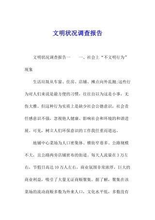 文明状况调查报告