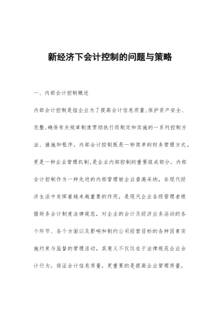 新经济下会计控制的问题与策略