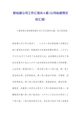 新组建公司工作汇报共6篇