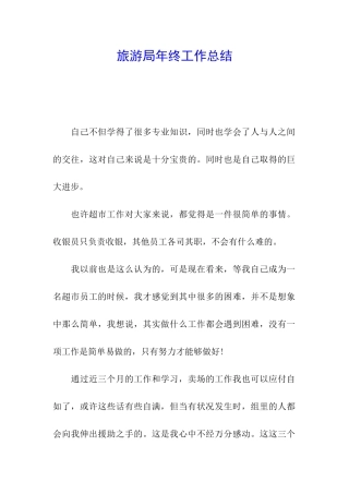 旅游局年终工作总结