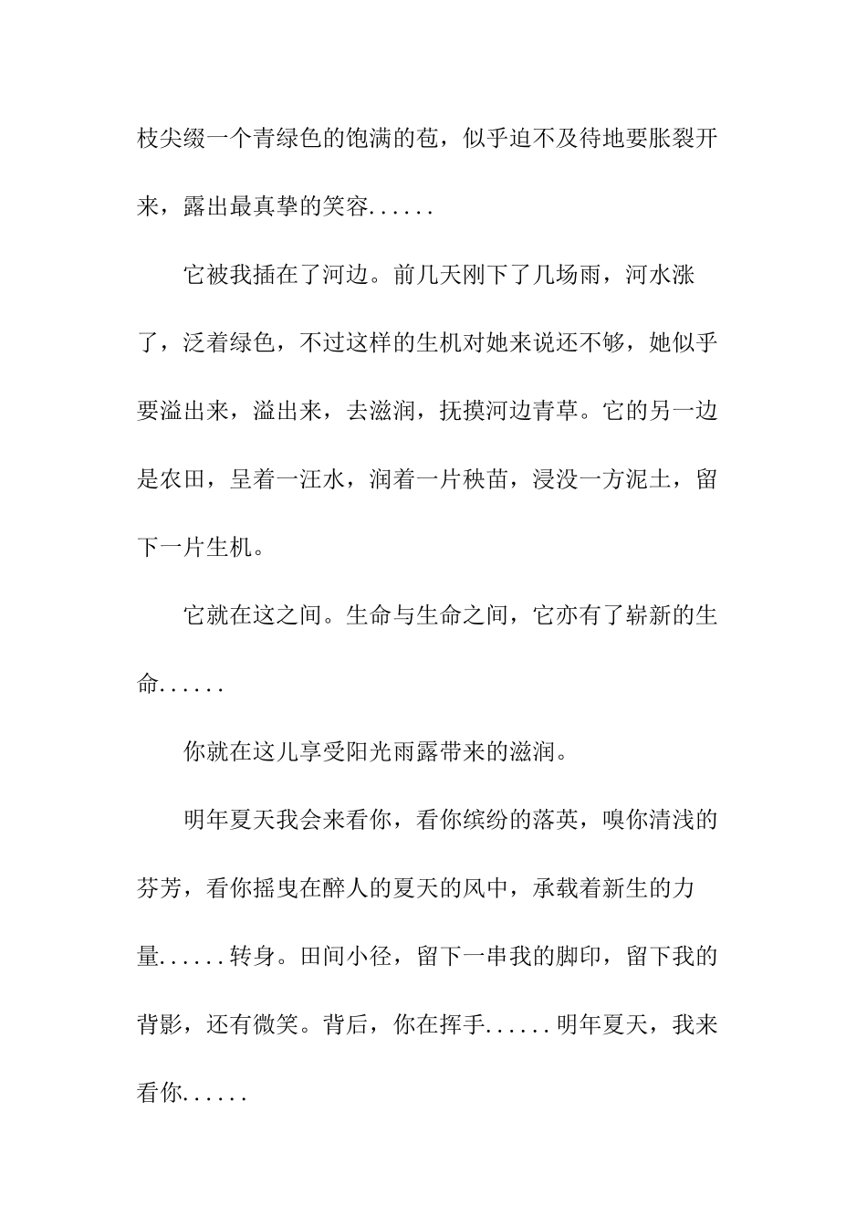 明年夏天我来看你作文_第2页