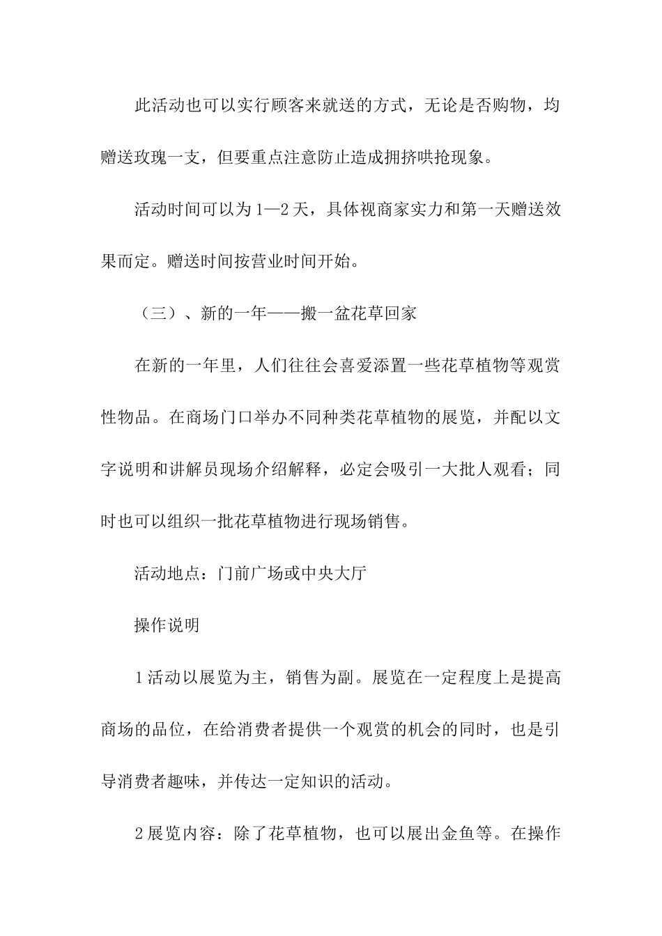 春节商场活动策划_第3页
