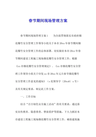 春节期间现场管理方案