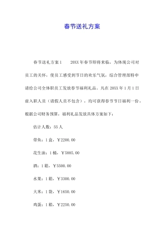 春节送礼方案
