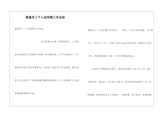 普通员工个人试用期工作总结