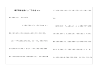 景区导游年底个人工作总结2024