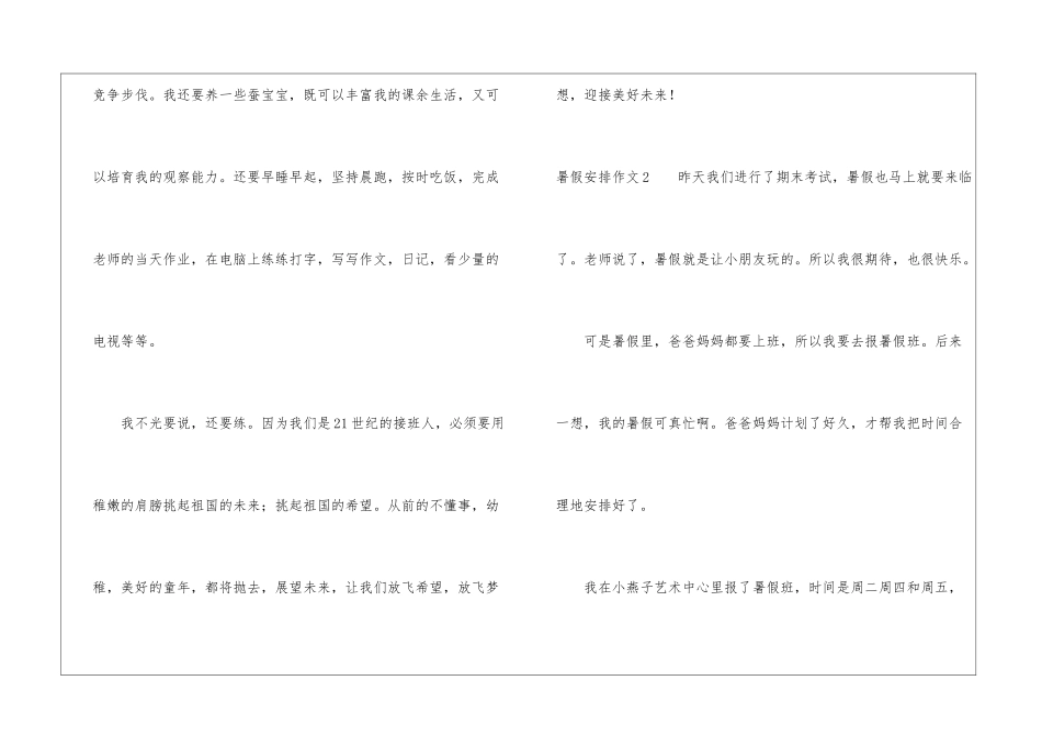 暑假安排作文_第2页