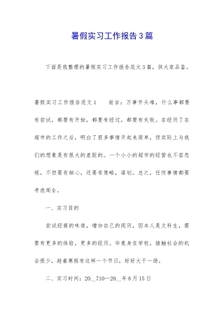 暑假实习工作报告3篇