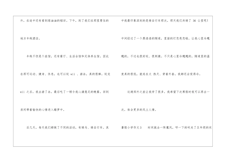 暑假小学作文_第3页