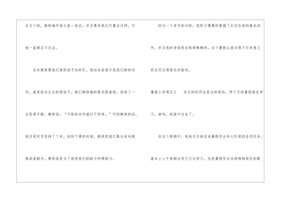 暑假小学周记_第2页