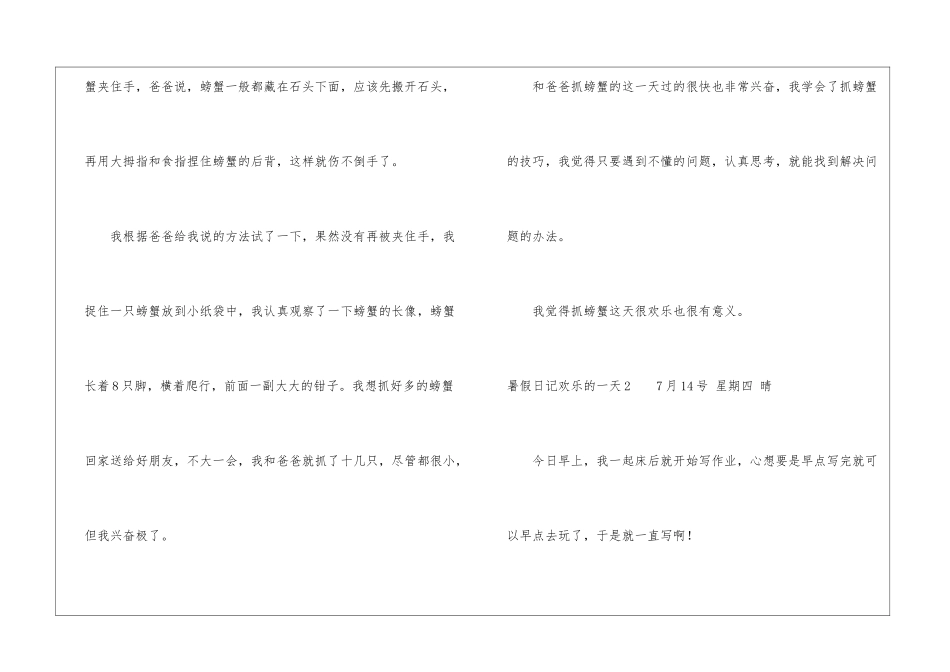 暑假日记快乐的一天_第2页