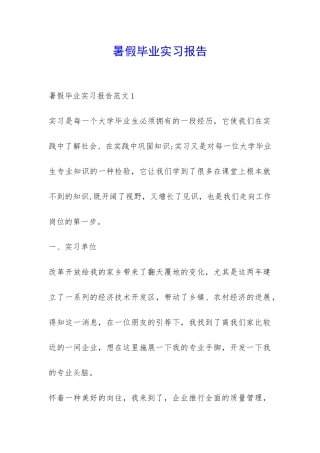 暑假毕业实习报告-