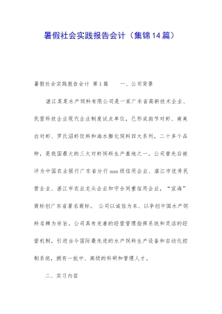 暑假社会实践报告会计