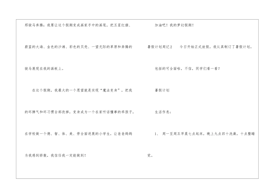 暑假计划周记_第2页