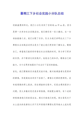 暑期三下乡社会实践小分队总结-