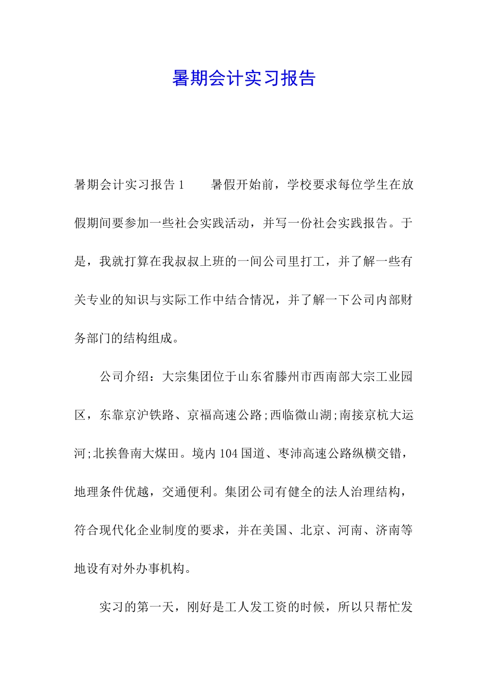 暑期会计实习报告_第1页