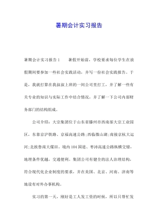 暑期会计实习报告