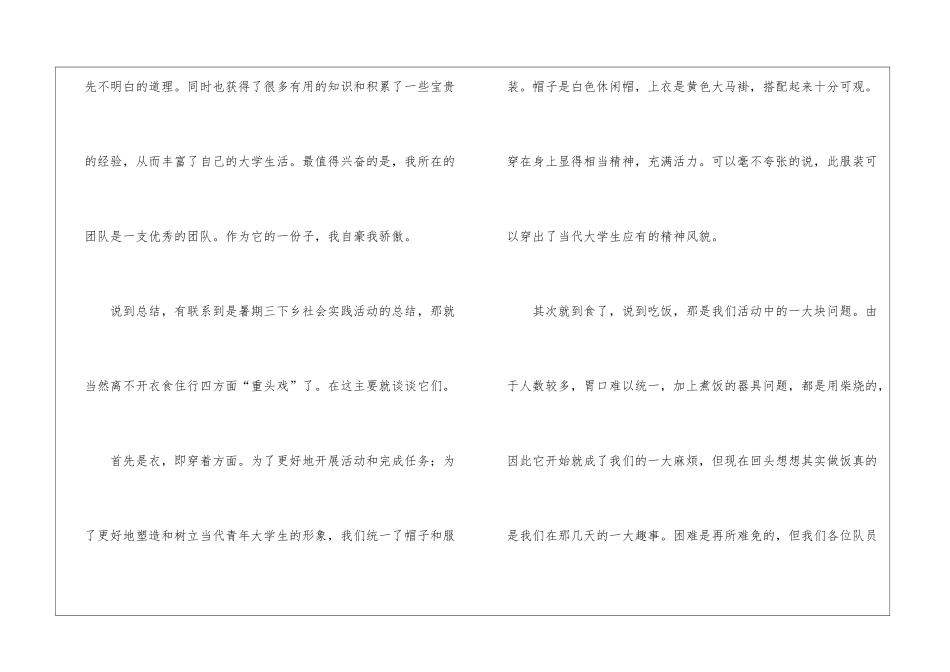 暑期大学生三下乡个人总结_第2页