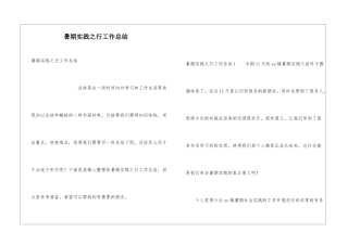 暑期实践之行工作总结