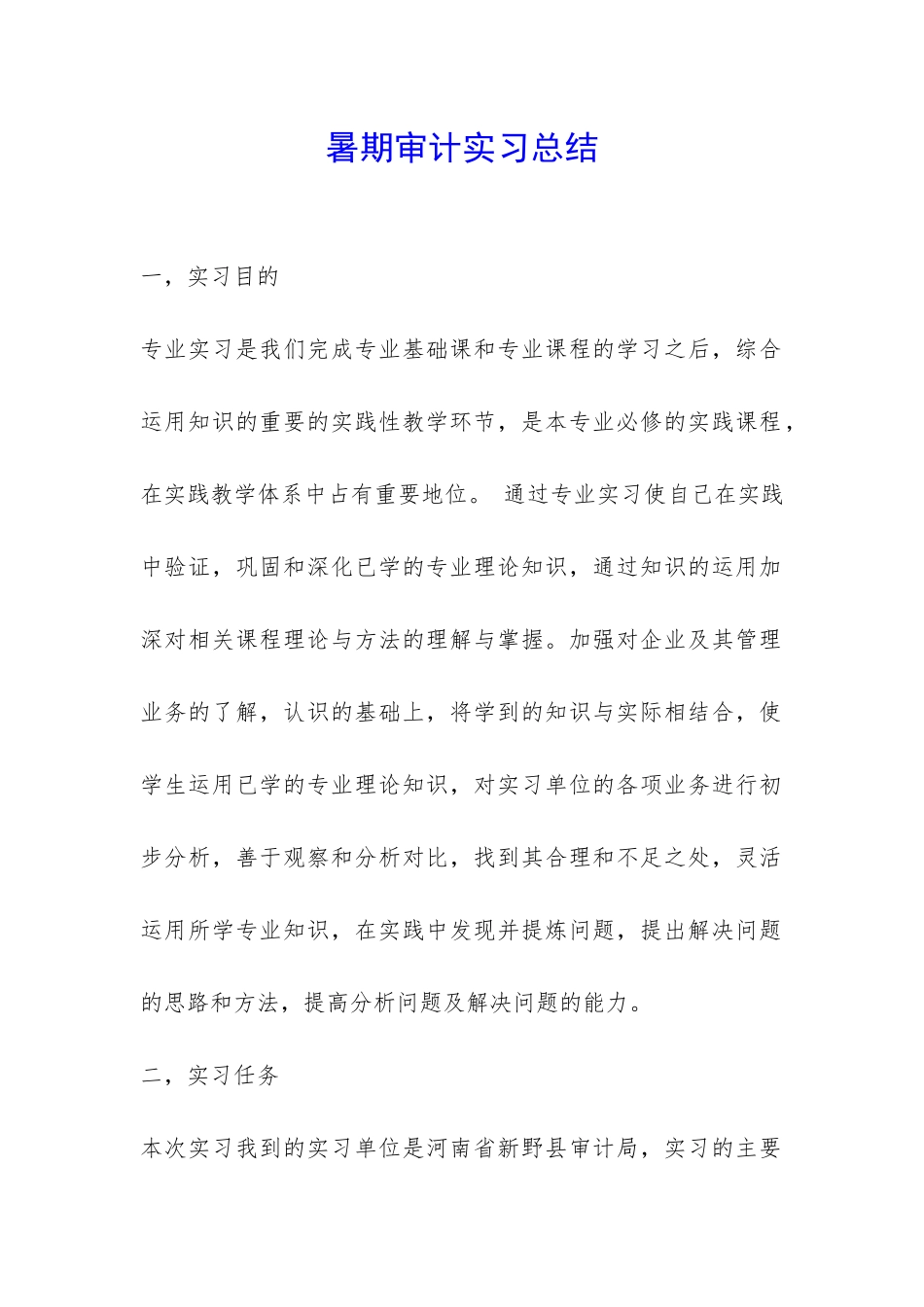 暑期审计实习总结-_第1页