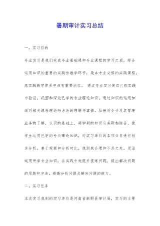 暑期审计实习总结-