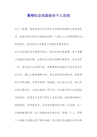暑期社会实践组长个人总结-