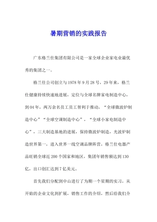 暑期营销的实践报告