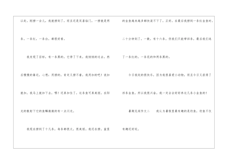 暑期见闻作文_第2页