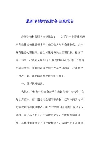 最新乡镇村级财务自查报告