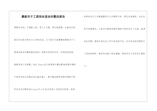 最新关于工商局自查自纠整改报告