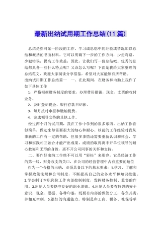 最新出纳试用期工作总结