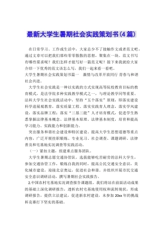 最新大学生暑期社会实践策划书