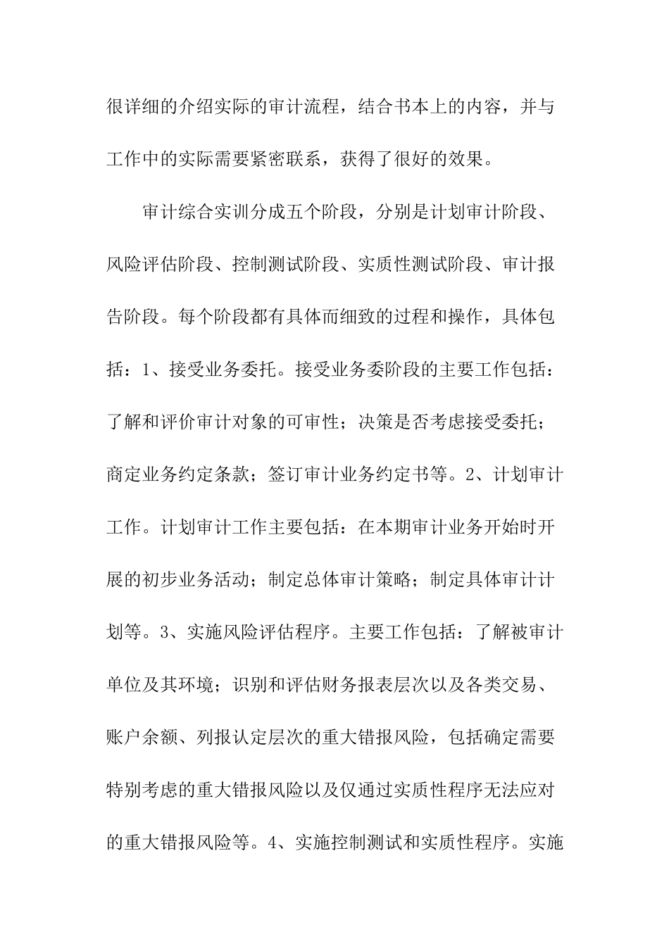 最新审计综合实训报告_第2页