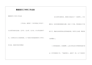 最新新员工年终工作总结
