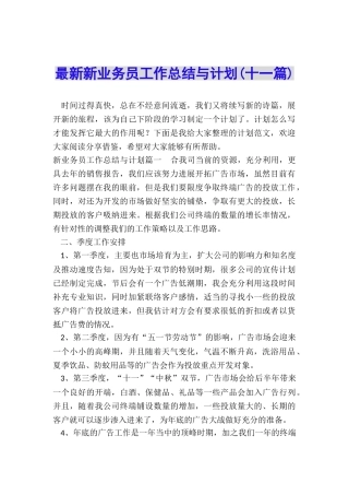 最新新业务员工作总结与计划
