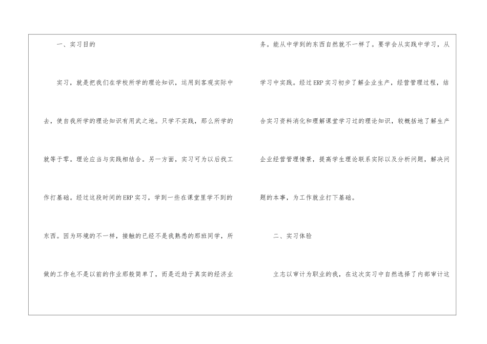 最新的审计实习报告_第2页