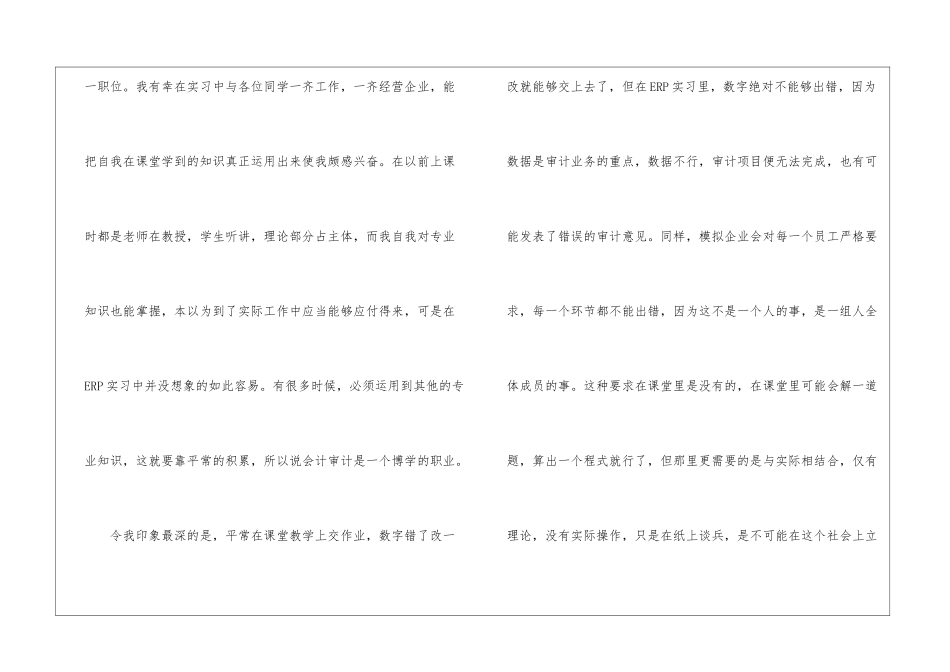 最新的审计实习报告_第3页