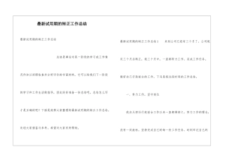 最新试用期的转正工作总结