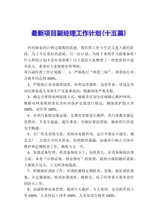 最新项目副经理工作计划