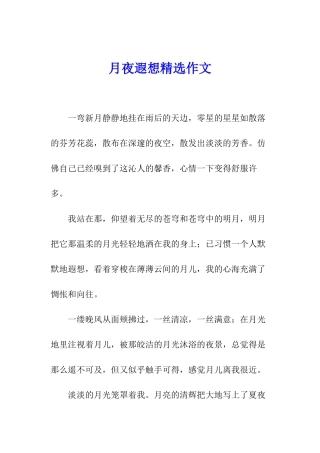 月夜遐想精选作文